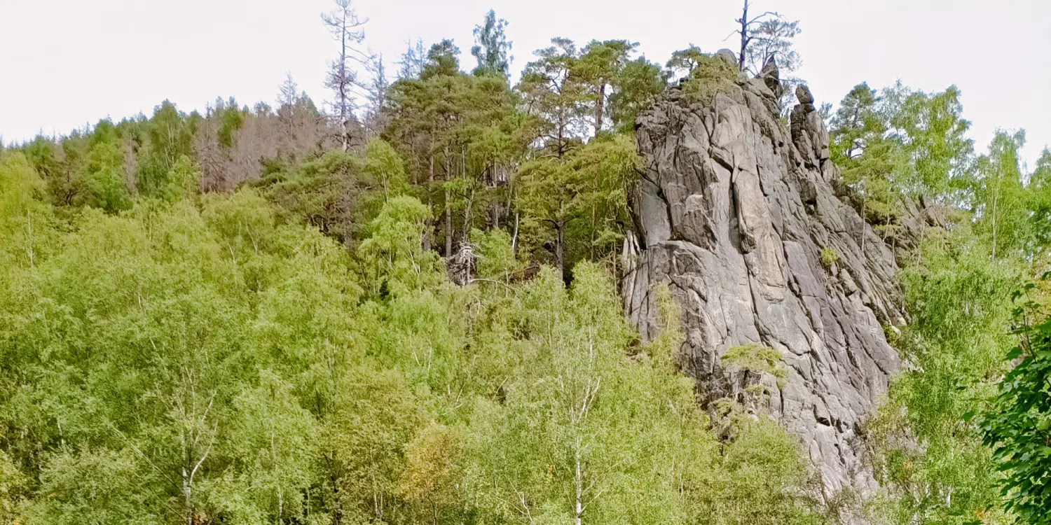 Hügel und Bäume